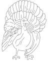 Free turkey coloring to print